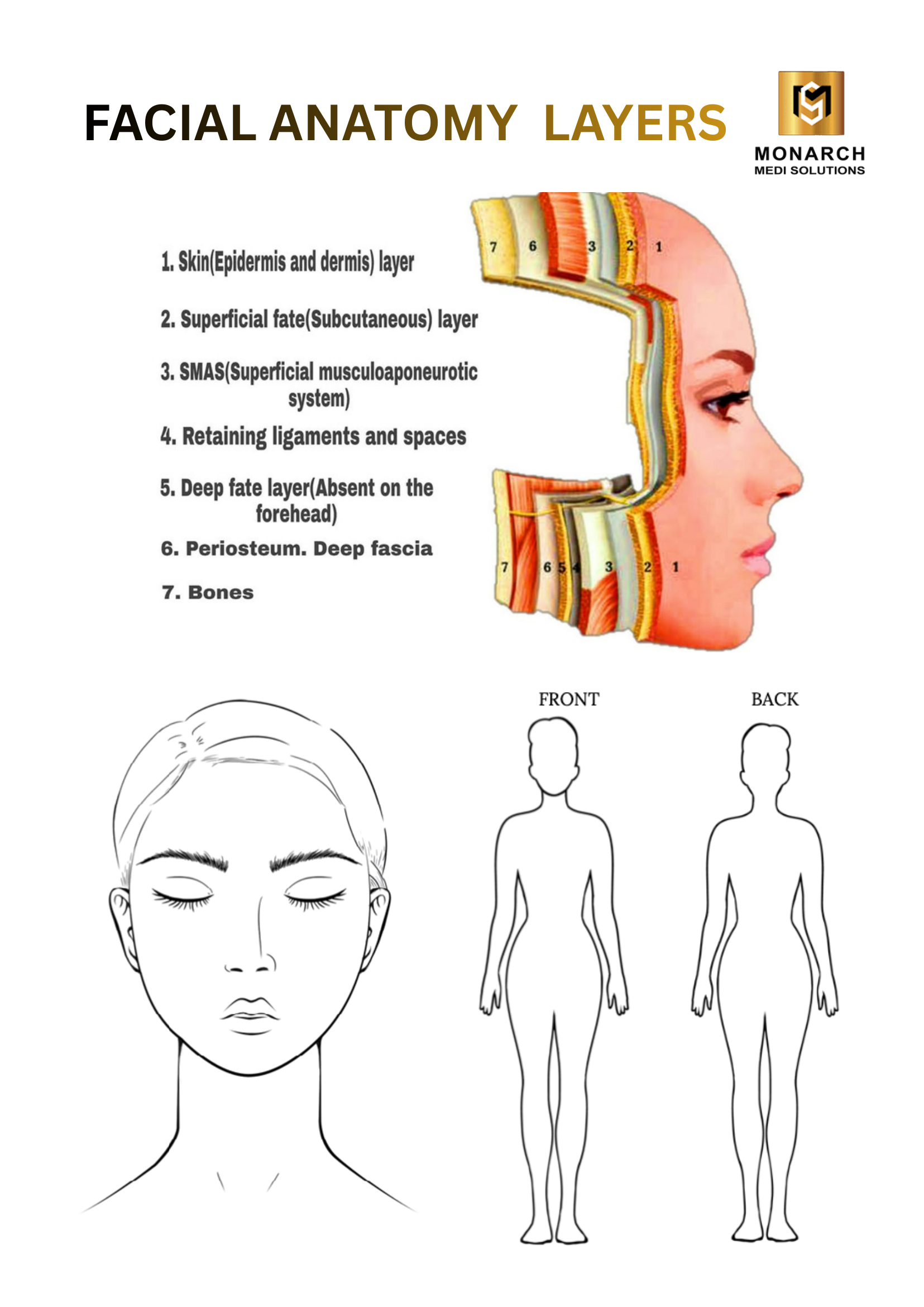 Facial anatomy layers chart numbering the SMAS as layer three, the plane FOCUS DUAL HIFU targets for non-surgical lifting